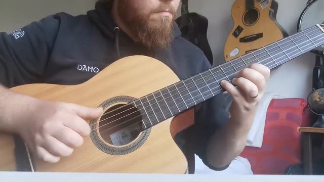 Gracey - What A Waste (Fingerstyle Cover) смотреть онлайн