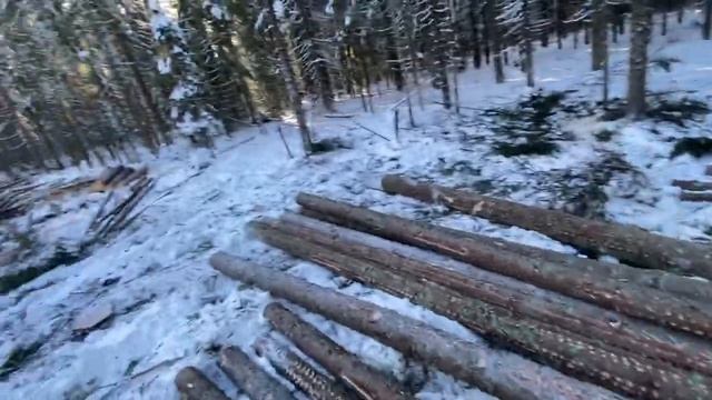 Замёрзшее болото,на повестке дня:1)Подготовка делянок.2)Качество заготовки.3)Встреча с Рогатым смотреть онлайн