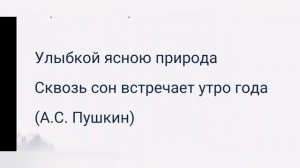 ?Средства художественной выразительности / метафора, эпитет, олицетворение, гипербола