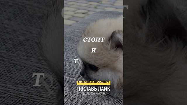 Ого ... смотреть онлайн