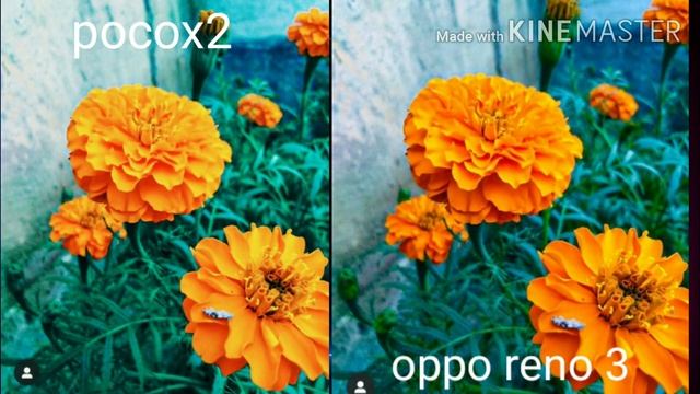 OPPO RENO 3 VS POCO X2 Camera COMPARISON смотреть онлайн
