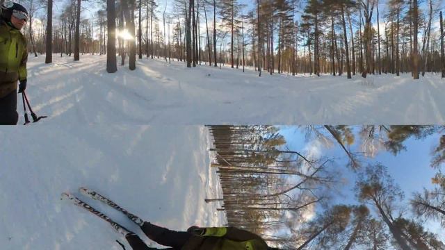 Лес в Завьялихе (360 градусов) смотреть онлайн