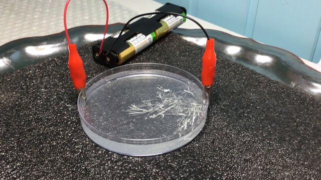 Оловянное дерево/ Получение олова с помощью электролиза смотреть онлайн