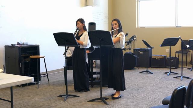 2017.1.28 Shostakovich Waltz No 3 from "Four Waltzes for Flute, Clarinet and Piano" смотреть онлайн