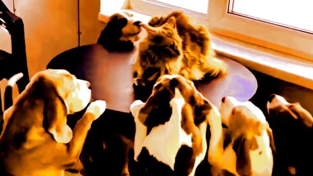 Медитация - пространство тишины в бушующем море эмоций и мыслей. смотреть онлайн