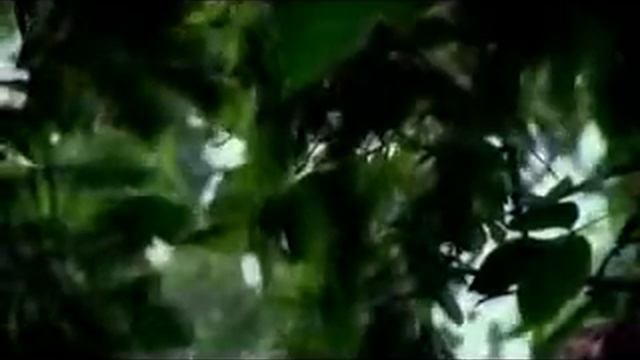 Karunesh: Meditation