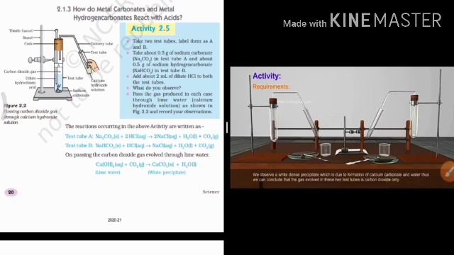10.2.3 metal carbonate & metal hydrocarbonate react with acid смотреть онлайн