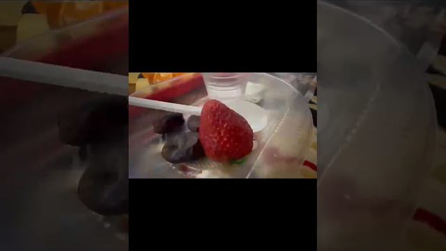 Пусть Аллах примет от Вас и от нас смотреть онлайн