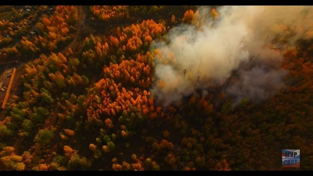 Пожар- Лес смотреть онлайн