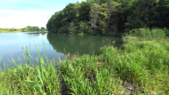 Вот это голавль! Кроулер SMITH BISEN (цикада), Jackall Chubby 38 SSR