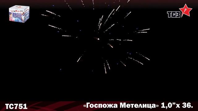 ТС751 смотреть онлайн