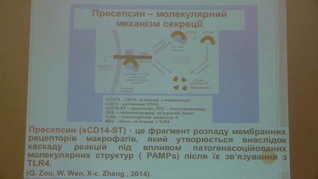 17 Пипа Л В Сучасна діагностика і лікування сепсису у дітей лекція майстер класу смотреть онлайн
