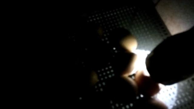 Здравствуйте дорогие друзья сегодня как мы проверяем на оплод инкубатор яйца смотреть онлайн