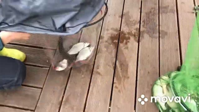 Ночной батл на Сенеже смотреть онлайн