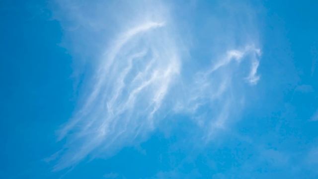 Reiki Music, Physical, Mental, Emotional And Spiritual Healing, Spiritual Cleansing, Angelic Healin