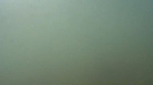 КУПАЮСЬ И ПЛАВАЮ ПОД ВОДОЙ С ЭКШН КАМЕРОЙ