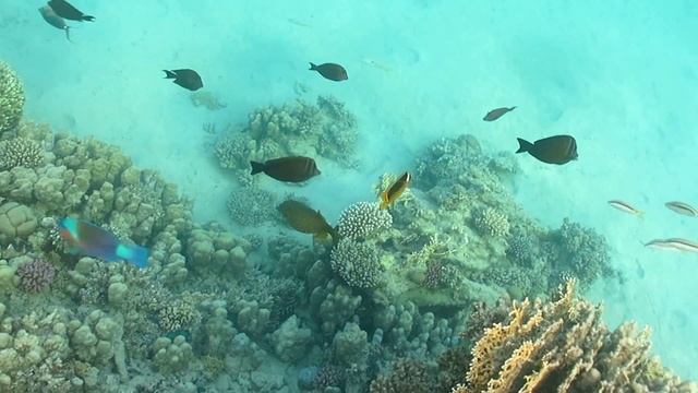 Кузовок-кубик смотреть онлайн