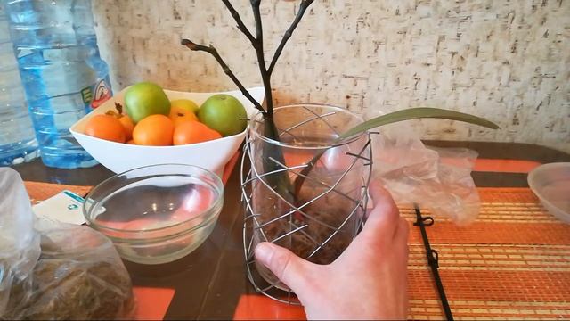 Реанимация и Уход За Орхидеями смотреть онлайн