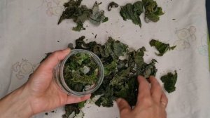 Ферментация виноградных листьев для чая - все шаги от А до Я