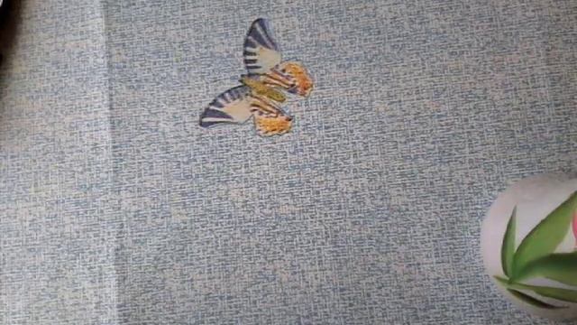 ТОП 10 товаров с Aliexpress смотреть онлайн