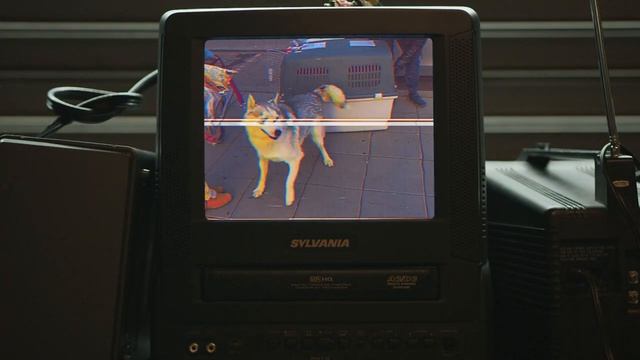 Ну короче: как я вез собаку в Болгарию смотреть онлайн