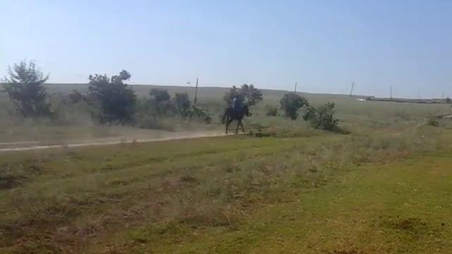 Скакать на лошади смотреть онлайн