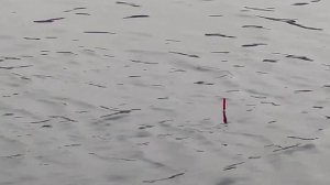 Рыбалка РАННЕЙ ВЕСНОЙ. Ловля УКЛЕЙКИ. Ловля ПЛОТВЫ. Открытие СЕЗОНА 2023!!!!