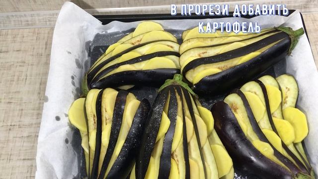 Баклажан "Хвост павлина" смотреть онлайн