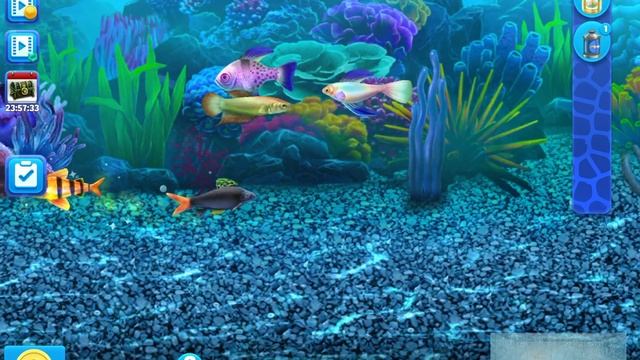 Fish Tycoon 2 смотреть онлайн