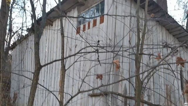 Урочище Паньково . Бывший детский лагерь смотреть онлайн