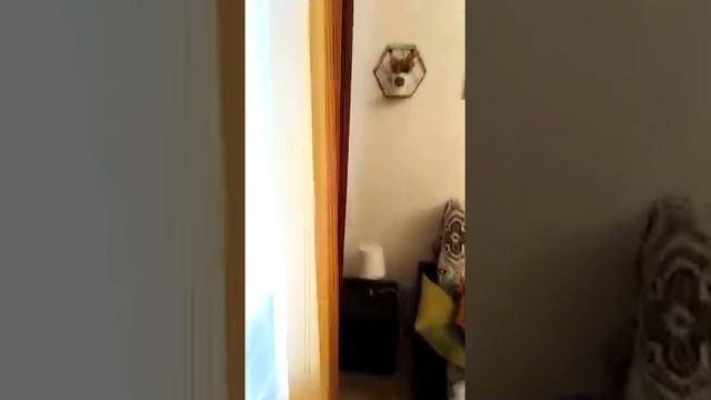Cдадим уютную cтудию в Кудрово,Пражская улица, 4 смотреть онлайн