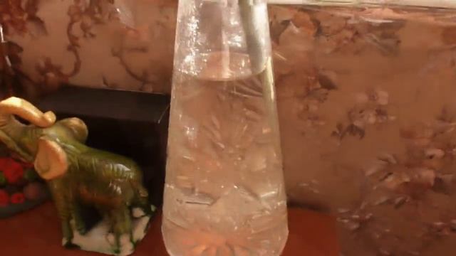 РУМ-ТУР/АУТФИТ/УКРАШЕНИЯ/МОЮ ОКНА/КОМНАТНЫЕ РАСТЕНИЯ и т.д. смотреть онлайн