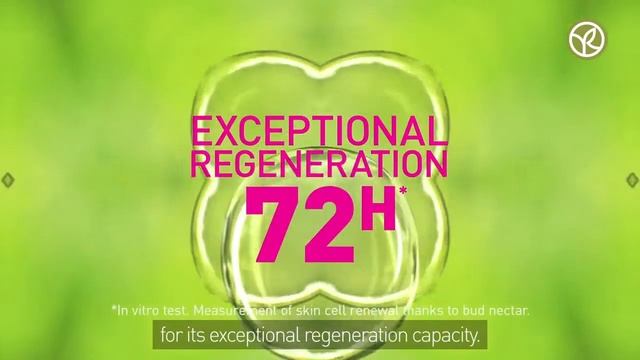 Yves Rocher | NEW : Anti-Aging Night Serum смотреть онлайн