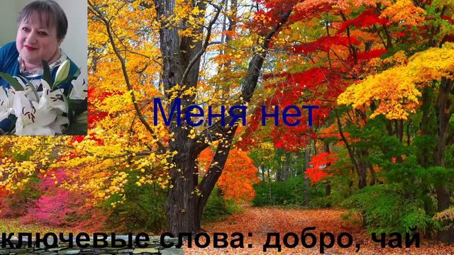 Стрим бот с вами смотреть онлайн