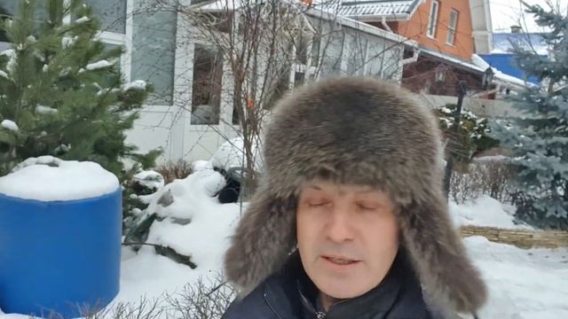 Зимовка рододендрона смотреть онлайн