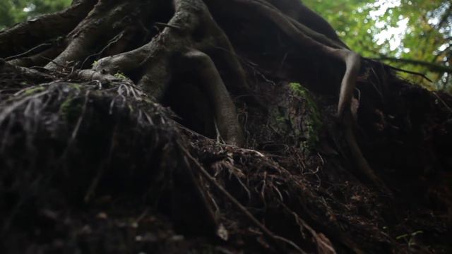 Vision Your Future | Higher Self Guided Meditation смотреть онлайн