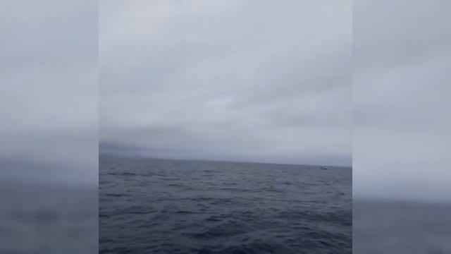 Итоги рыбалки 20 июня. Иваныч не снял на видео катрана( смотреть онлайн