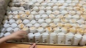 ЭТО ШОК!!! Что внутри матраса Лазурит за 47000.