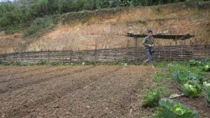 Build a house - Live with Nature, Grow ginger in a bag (Garden renovation) Roast a whole duck