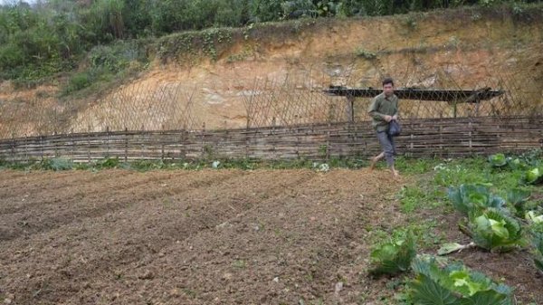 Build a house - Live with Nature, Grow ginger in a bag (Garden renovation) Roast a whole duck