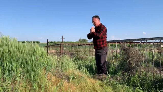 Самаркандская область, колхоз имени Карла Маркса смотреть онлайн