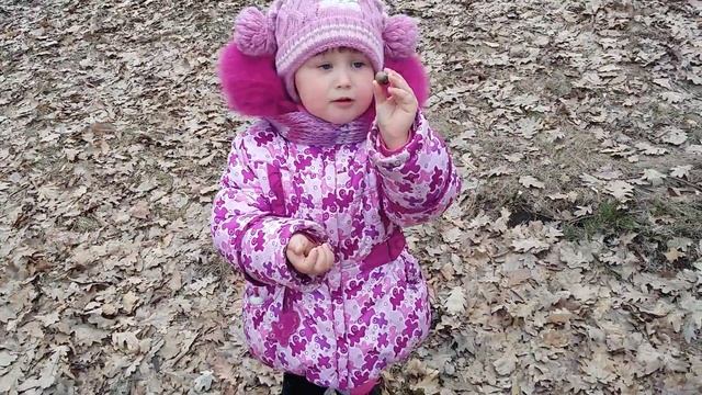 Прогулка в поисках желудей смотреть онлайн