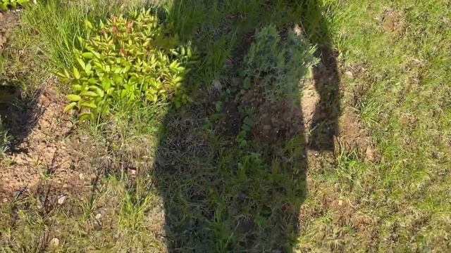 ТЕХНИЧЕСКОЕ  ПОМЕЩЕНИЕ ДЛЯ БАССЕЙНА