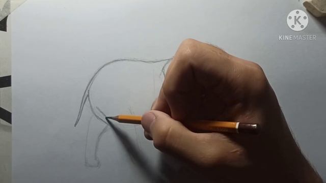 КАК НАРИСОВАТЬ СЛОНА КАРАНДАШОМ смотреть онлайн
