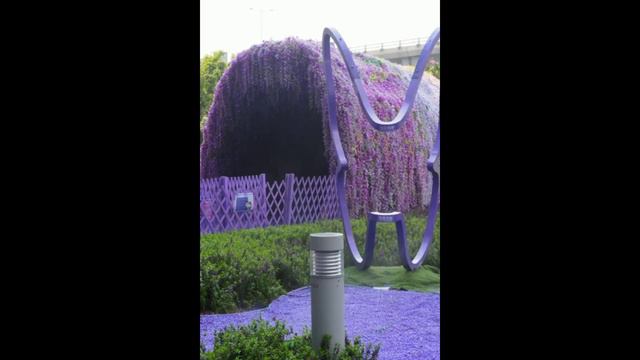 PURPLE FLOWERS GALORE in HONGKONG смотреть онлайн