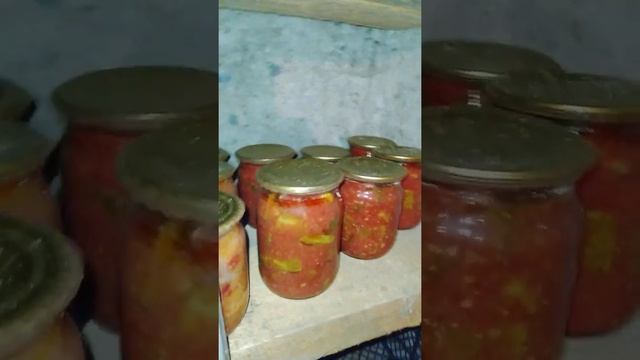 10?Обзор  дома в Старощербиновской/Переезд на юг 2021