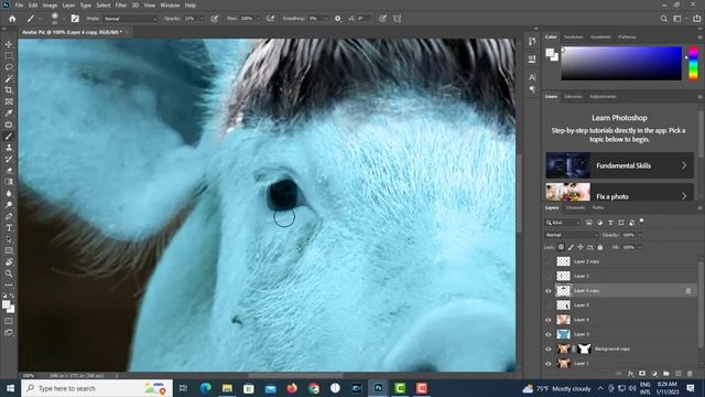 Avatar Pig funny making in photoshop | funny animals editing | Photoshop manipulation tutorial смотреть онлайн