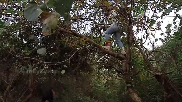 Kumkum Bhagya - Abhi and Pragya's JUNGLE ROMANCE смотреть онлайн