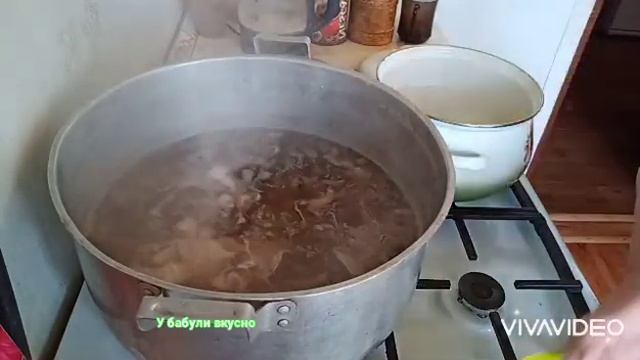 #Новинка Маринуем подтопольники,как правильно приготовить,чтобы они были вкусные. смотреть онлайн