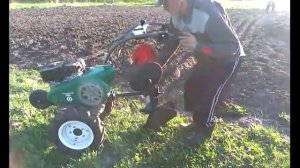 Посадка картошки мотоблоком кайман варио